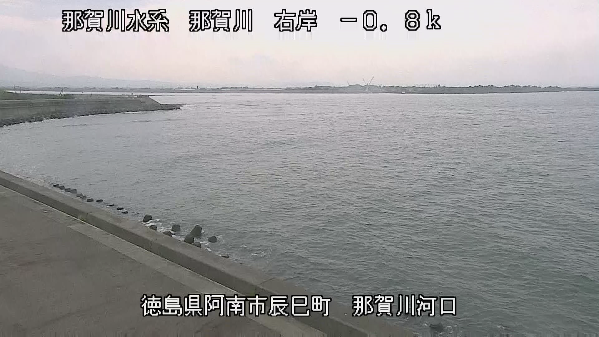 徳島県の海ライブカメラ｢６辰巳(那賀川河口) ｣のライブ画像